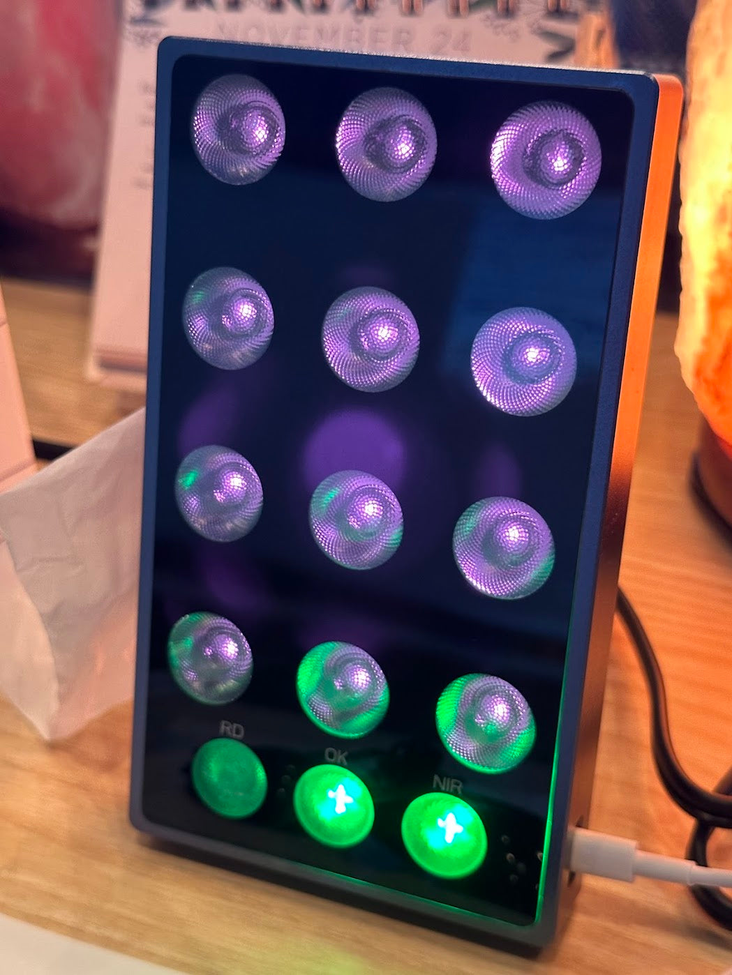 Red Infrared LED Portable Handheld Therapy Device