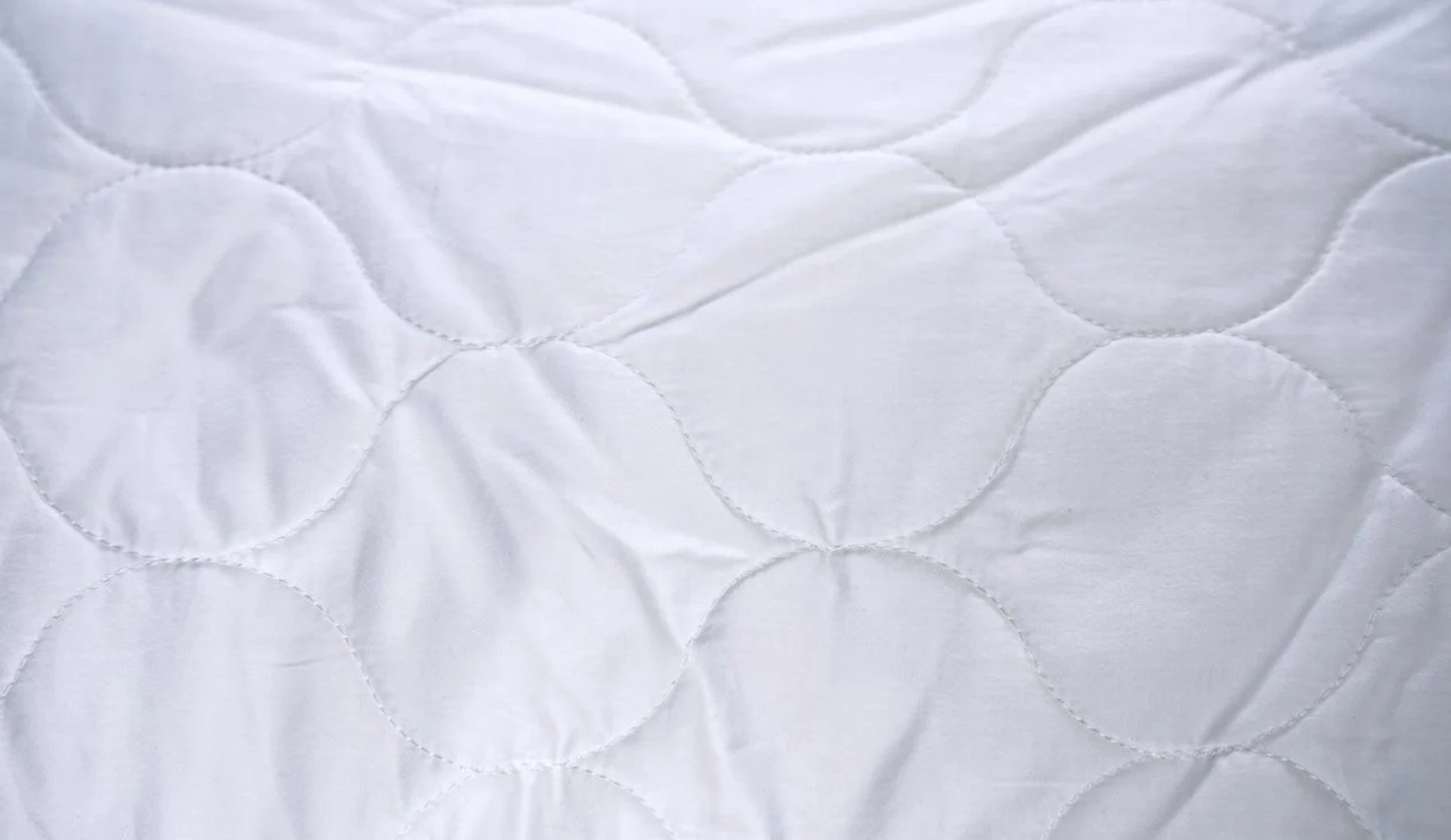 Organic Pillow