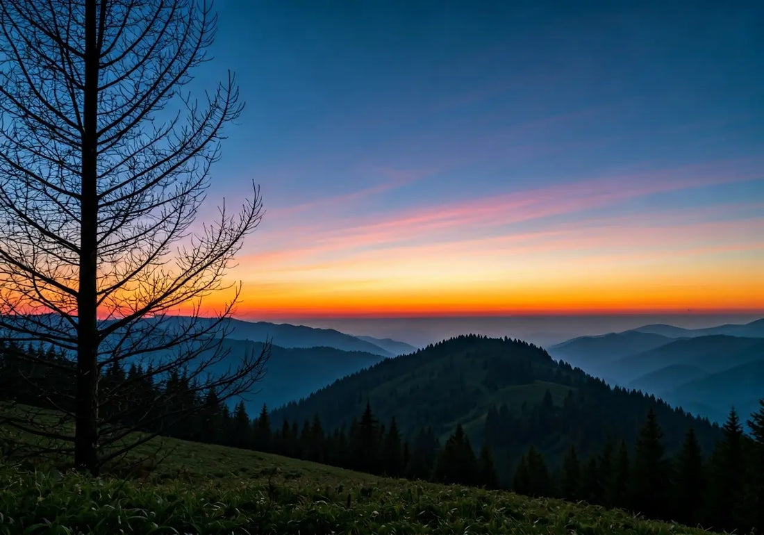 Can Quantum Healing Improve My Overall Wellness?