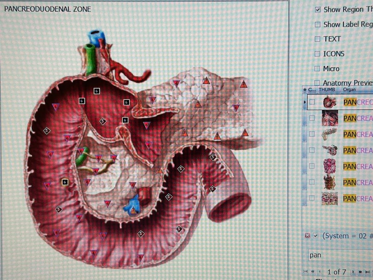 Remote Body Scan Bioscan with Hair Sample Package
