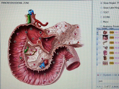 Remote Body Scan Bioscan with Hair Sample Package