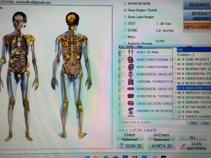 Anatomical diagram of a human body on a computer screen with software interface elements.