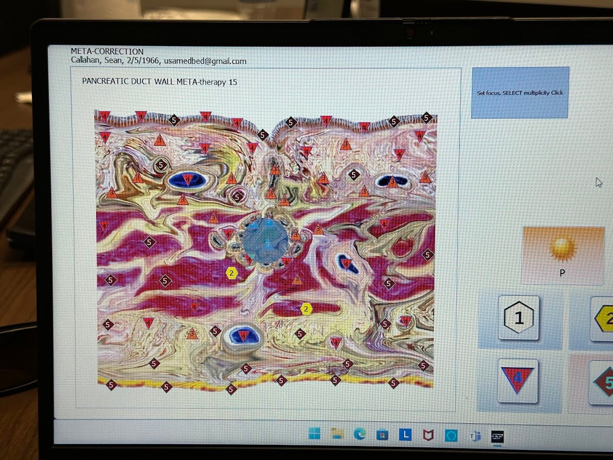 Body Scan BioScanner – USA Med Bed