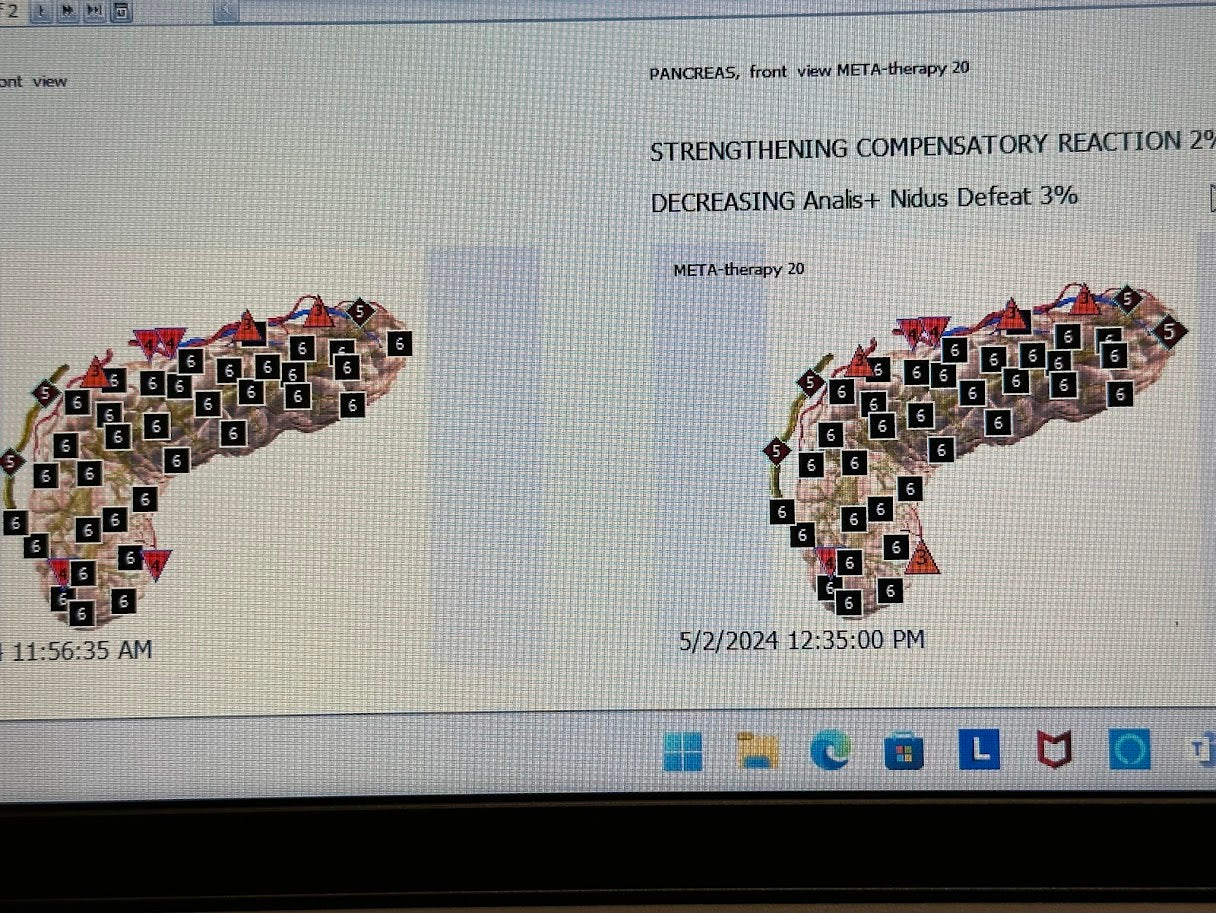 Body Scan BioScanner – USA Med Bed