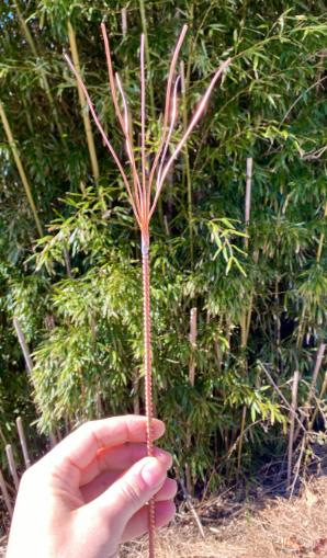Hand holding electroculture antenna against a background of green foliage