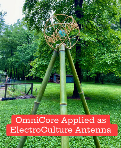 Bamboo structure with a circular top in a grassy area with trees, labeled 'OmniCore Applied as ElectroCulture Antenna'.