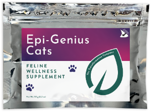 EpiGenius Cats