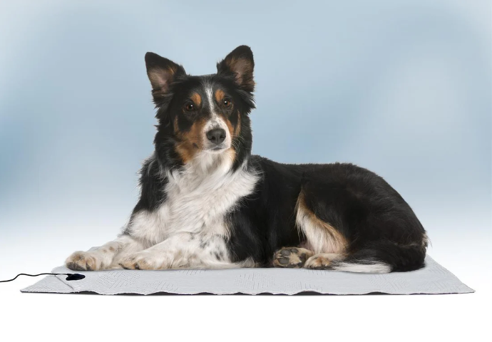 BioShield Pet Bed Floor Mat