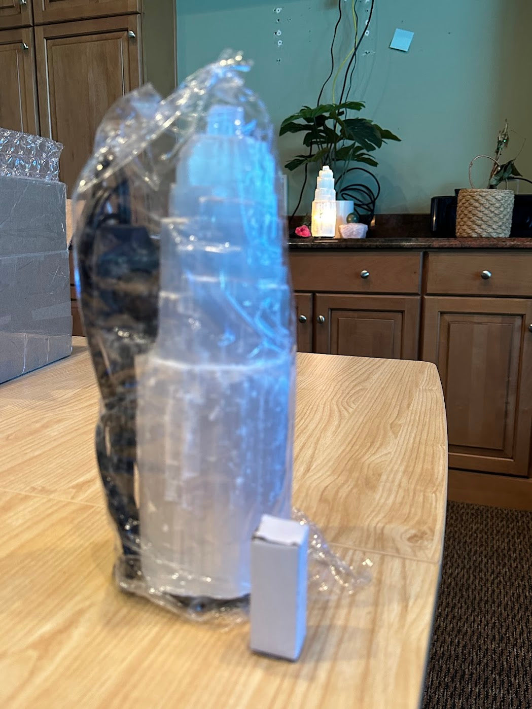 Selenite Crystal Lamp