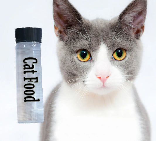 Cat Food Plasma Energy Water